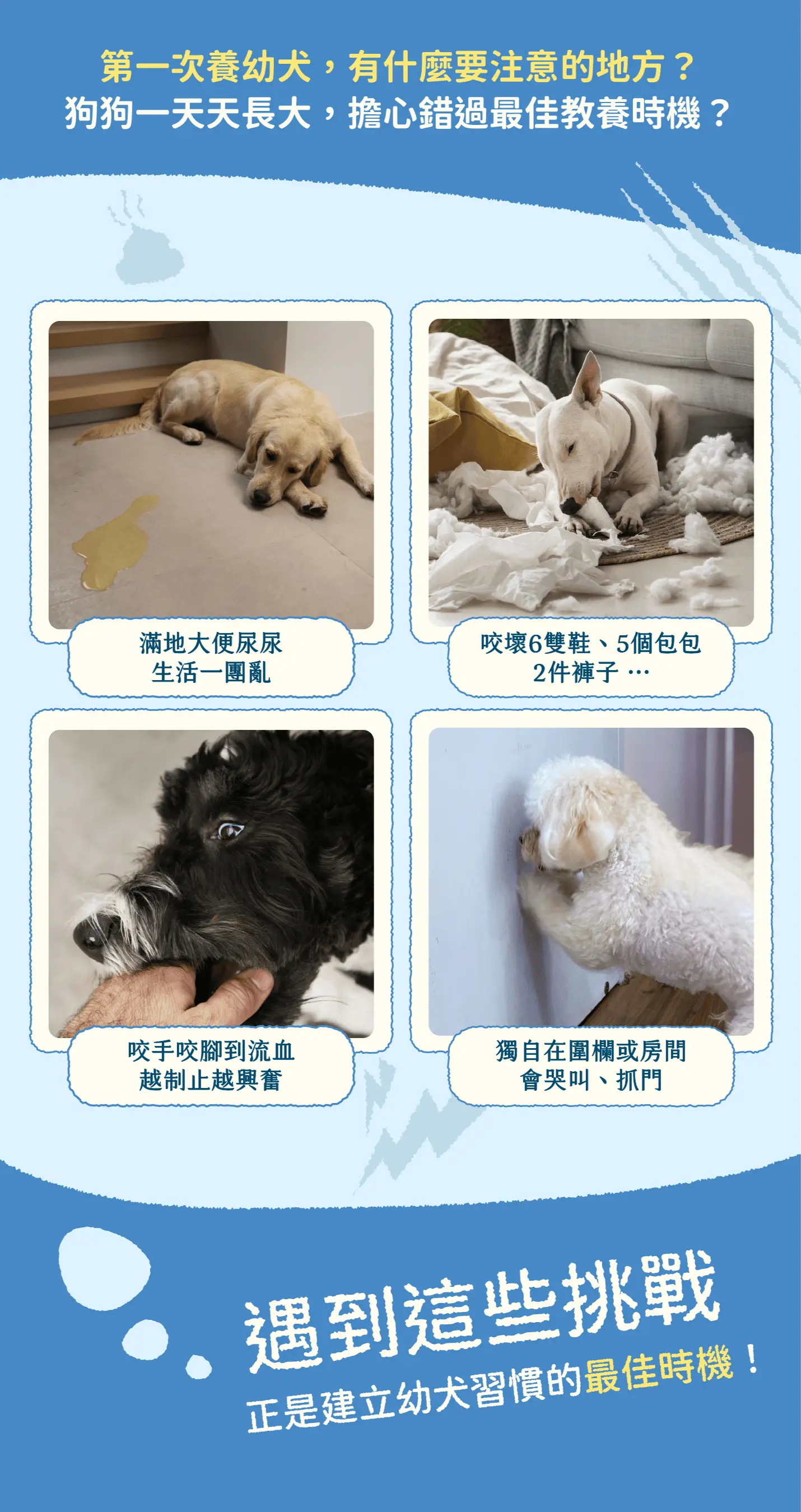 未命名設計 12 未命名設計 12